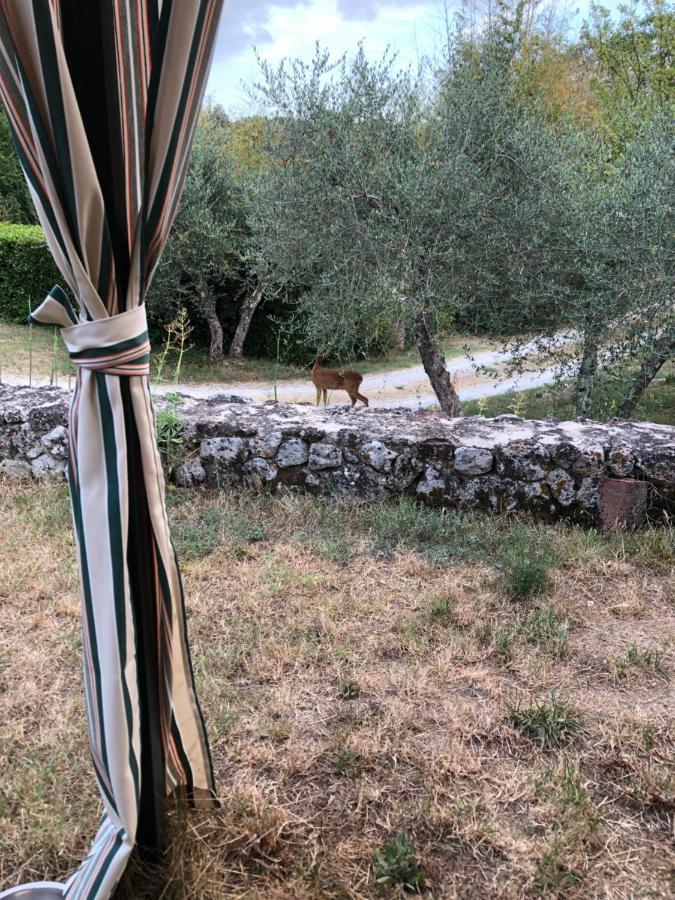 La Locaia Διαμέρισμα Σιένα Εξωτερικό φωτογραφία