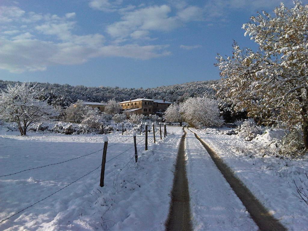 La Locaia Διαμέρισμα Σιένα Εξωτερικό φωτογραφία